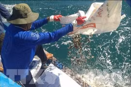 Aquaculture output scales up 8 percent