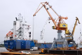 Vietnam’s exports to Algeria continue to grow