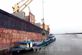 Agro-forestry-aquatic product exports hit 13.7 billion USD