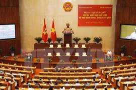 Conference focuses on Party’s economy-related resolutions