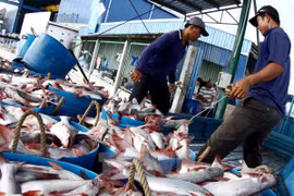 Vietnam, Australia cooperate in combating illegal fishing