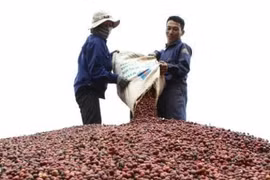 Tata builds freeze-dried coffee plant in Vietnam