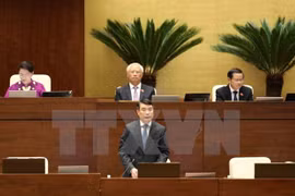 Central bank governor stresses solutions to bad debt settlement