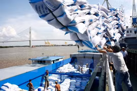 VFA hikes rice export target on strong demand