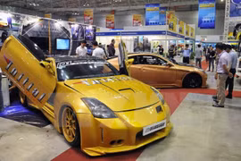 Vietnam supports domestic automakers