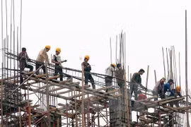 Action month for labour safety, hygiene launched 