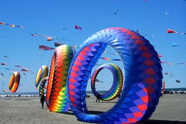 Kites fly high as Quang Nam hosts Heritage Festival