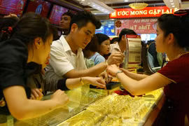 Gov’t studies making use of idle dollars, gold
