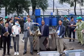 Over 100kg of suspected rhino horn seized in Hanoi