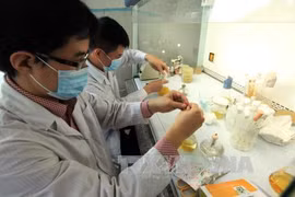 Experts share experience in nuclear medicine