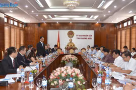 Japan firm to build Quang Ngai power plant