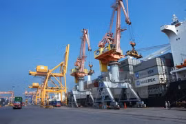 Deputy PM asks Hai Phong city to revise port fees