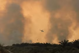 Indonesia works to end forest fires