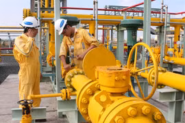 VN-Index steps back on correction fear