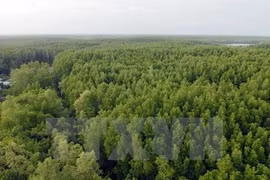 Programme on gas emission and deforestation reduction gets approved