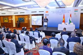 Vietnam, Hungarian businesses seek cooperation opportunities 