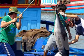 Exports of aquatic products surge in six months