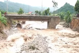 Storm-affected residents in Son La to receive rice aid