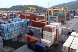Da Nang Port handles first tonne of cargo of 2017