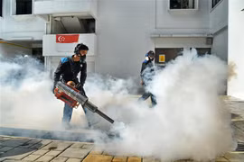 Singapore confirms two more Zika cases