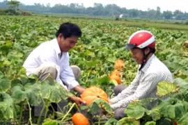 Agro-forestry-fishery exports to hit nearly 30 bln USD in 10 months