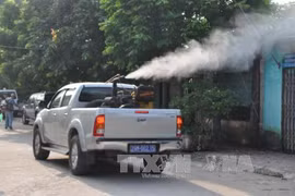 Hanoi enhances prevention of dengue fever 