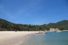 Cham Island tries to rescue green turtles
