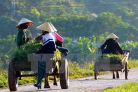 Central Highlands: 100 communes recognised as new-style rural areas