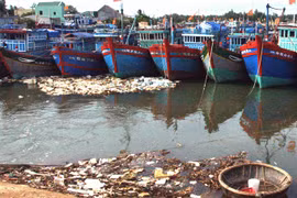  Pollution concerns in Quang Ngai province