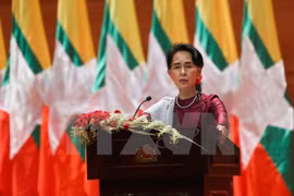 Myanmar pledges to restore normalcy in Rakhine state