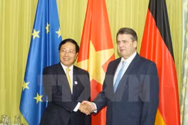 Deputy PM calls for G20 support to developing countries