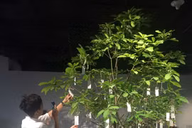 Yoko Ono project at new art centre
