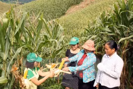 WB aids poverty alleviation programme for ethnic groups