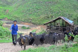 Lai Chau’s Muong Te district improves local lives with WB funding