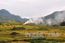 Sa Pa Summer festival to open in Lao Cai