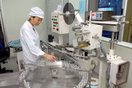 Seminar discusses technology needs of Vietnamese firms