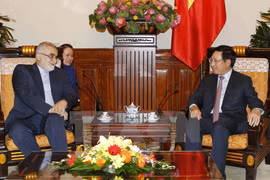 Vietnam, Iran should focus on raising trade: Deputy PM