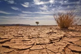 Thailand, Germany join hands to tackle climate change