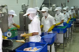Vietnam – EAEU joint FTA committee commences first session 