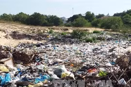 Untreated waste pollutes environment in Vinh Phuc