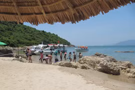 Son Tra mountain named national tourism site 