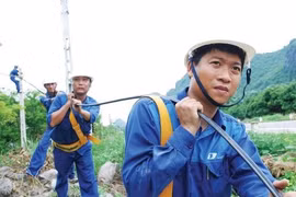 Deputy PM pushes for fast VNPT divestment