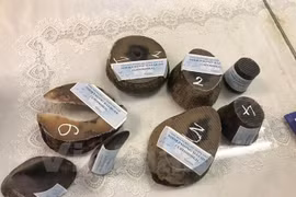 More rhino horns seized at Tan Son Nhat airport 