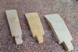 Believed-to-be prehistoric items unearthed in Binh Phuoc