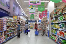 HCM City’s CPI stable in June