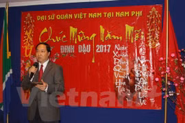 Vietnamese expatriates worldwide celebrate Lunar New Year