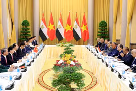 Vietnam, Egypt seal cooperation agreements