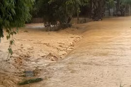Vietnam to develop natural resources, environment monitoring database