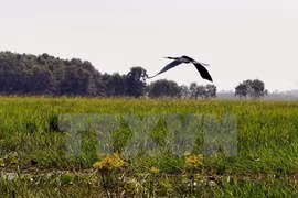 Site support groups prove useful for bird conservation