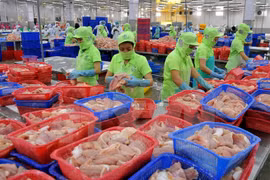 Tra fish export: China lucrative market but high risk